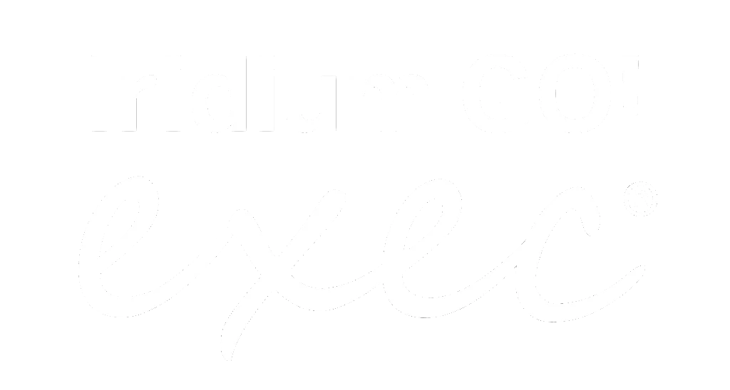 Iridium Go Exec